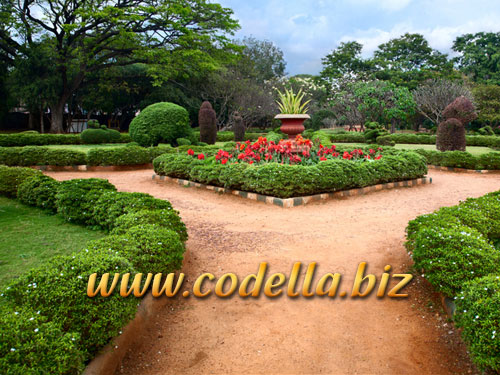 Lal Bagh escort girls